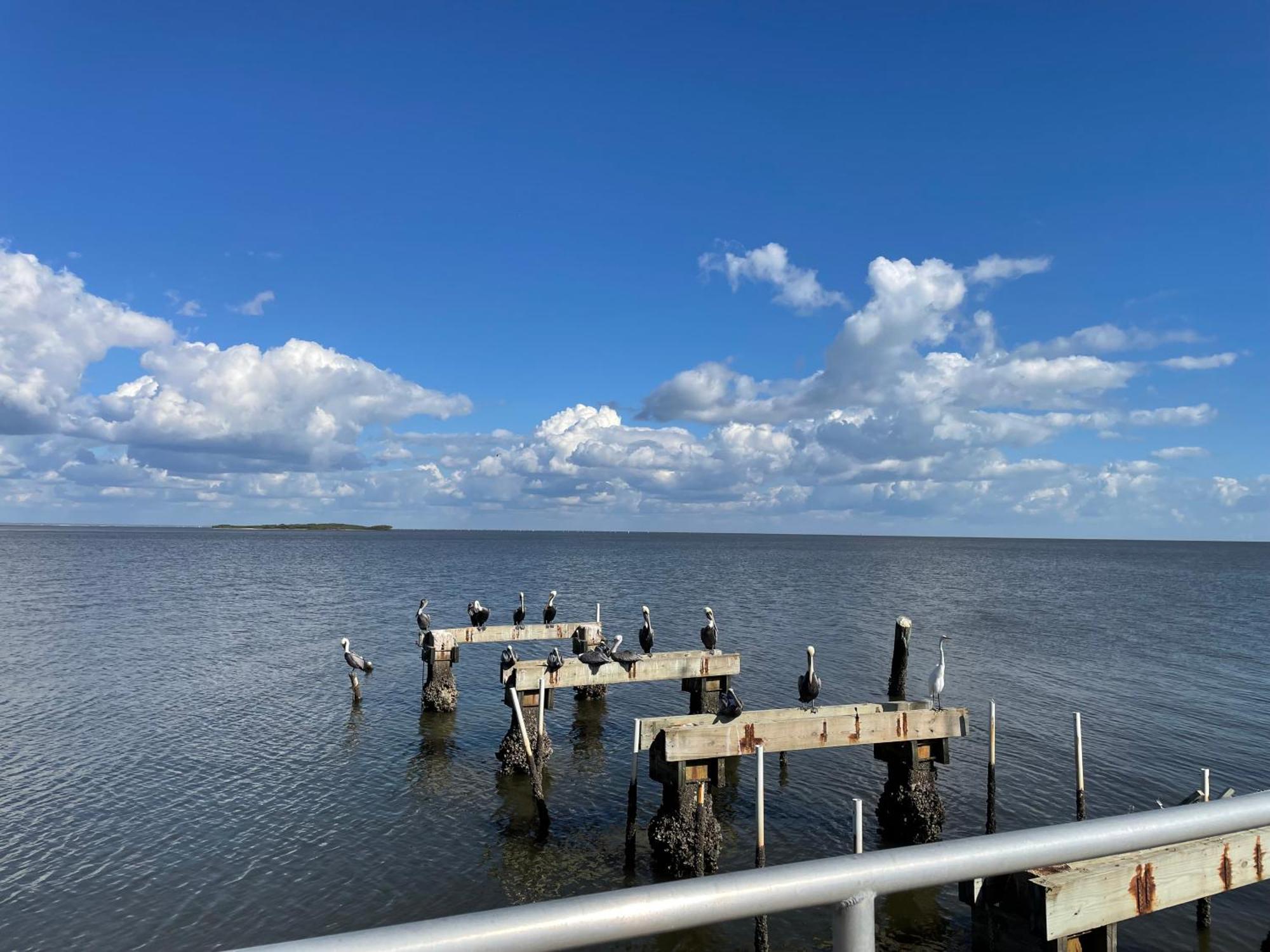 Cedar Key Florida Condo At Park Place Exterior foto